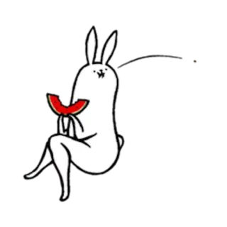 🍉 lapin, lapinou, manger, pastèque, dessin animé whatsapp sticker