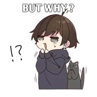 ✨ BUT WHY ? anime, domanda, carino, gatto, ragazzo whatsapp sticker