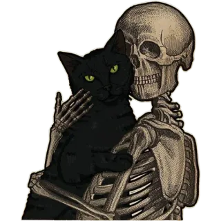 ✨ skeleton, cat, halloween, spooky, gothic, death, pet, animal telegram sticker