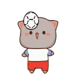 ⚽️