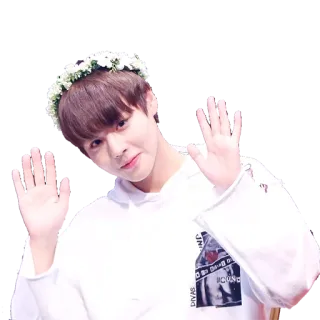 🙌 whatsapp sticker