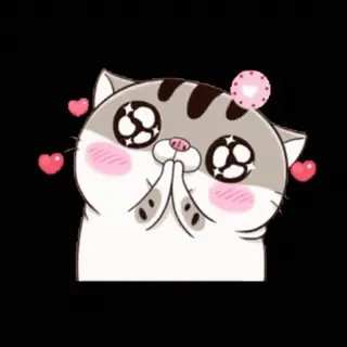 🥺 mèo, sticker, dễ thương, tình yêu, đáng yêu, kawaii, trái tim whatsapp sticker