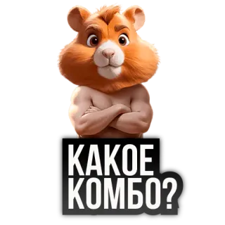 🐹 КАКОЕ КОМБО? 仓鼠, 动物, 卡通, 肌肉, 组合, 俄语, 哺乳动物, 搞笑 whatsapp sticker