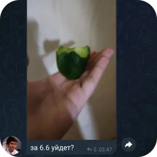 👍 за 6.6 уйдет? telegram sticker