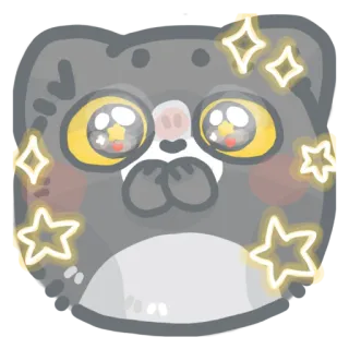 🤩 кот, милый, блестки, мультфильм, животное, кавай whatsapp sticker