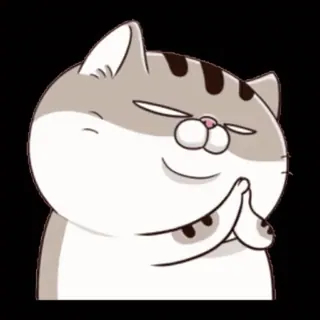 👏 cat, cute, cartoon, sticker, animal, happy telegram sticker