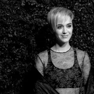 ✨ Katy Perry 名人, 歌手, 肖像, 女人, 黑白 whatsapp sticker
