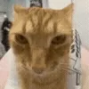 🕺