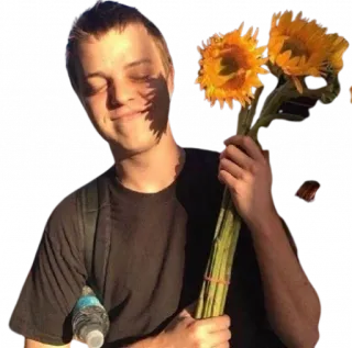 😊 girasoles, flores, persona, sonriendo, hombre, retrato telegram sticker