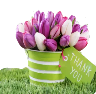 🌷 THANK YOU цветы, тюльпаны, спасибо, букет, благодарность, весна telegram sticker