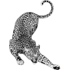 ๐คฉ