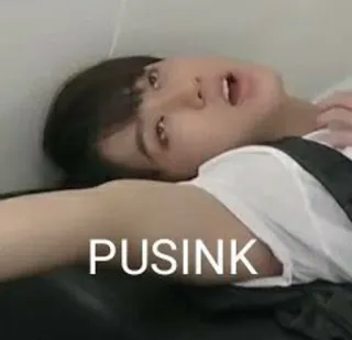 💰 PUSINK Meme, Anstößig, Text, Slang whatsapp sticker