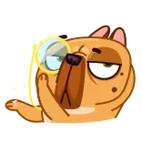 Harry The Frenchie telegram stickers