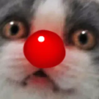 😶 Katze, Clown, rote Nase, Tier, Haustier telegram sticker