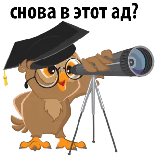 😕 снова в елопад? coruja, telescópio, formatura, animal, desenho animado, pássaro, educação whatsapp sticker