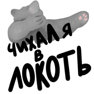 🤧 чихала я в локоть 고양이, 재채기, 러시아어, 텍스트, 동물, 귀여운 whatsapp sticker