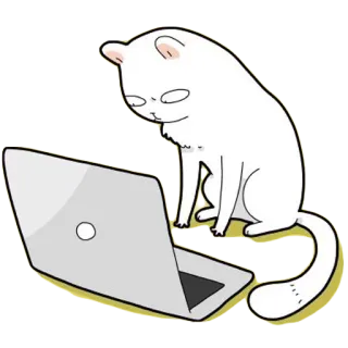 🤔 gato, laptop, computador, animal, gato branco, trabalho, escritório whatsapp sticker