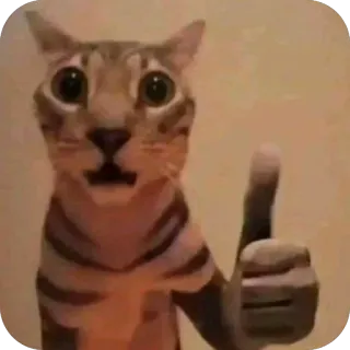 🫥 cat, thumbs up, meme, animal, positive, cute telegram sticker