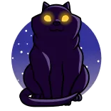 👀 mèo, mèo đen, động vật, mắt, đêm, ngôi sao whatsapp sticker