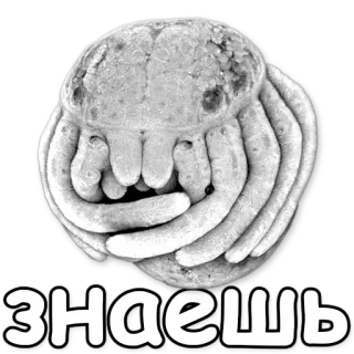 🙊 Знаешь russian, text, знаешь, know telegram sticker