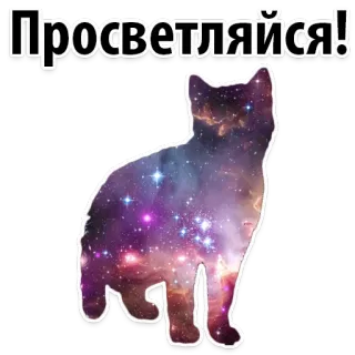 😜 Просветляйся! chat, espace, galaxie, animal, sticker, positif whatsapp sticker