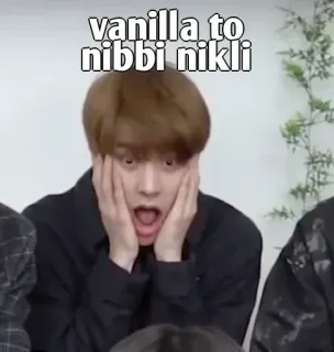 👀 vanilla to nibbi nikli telegram sticker
