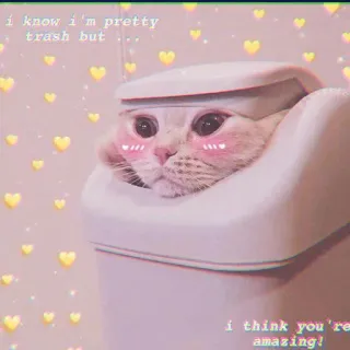 🍓 i know i'm pretty trash but ... i think you're amazing! gato, basura, lindo, animal, kawaii, corazones, amor, meme telegram sticker