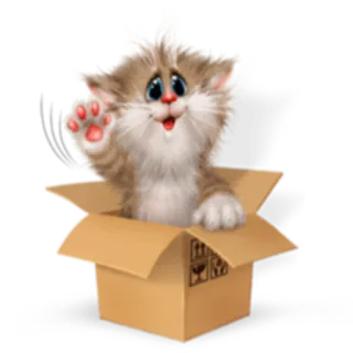 🙃 gato, gatinho, caixa, animal, fofo, desenho animado, acenando whatsapp sticker