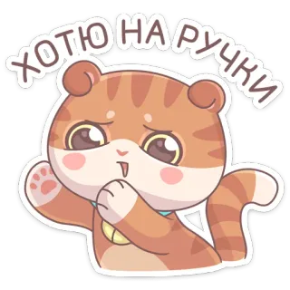 🤗 ХОТЮ НА РУЧКИ кот, стикер, милый, мультфильм telegram sticker