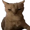 π€¬