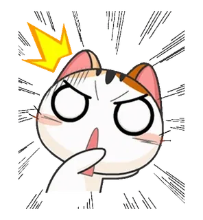 ⭐ gato, bravo, chocado, desenho animado, animal, adesivo, fofo whatsapp sticker