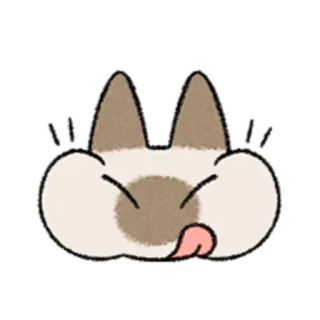 😺 gato, lambendo, fofo, animal, engraçado telegram sticker