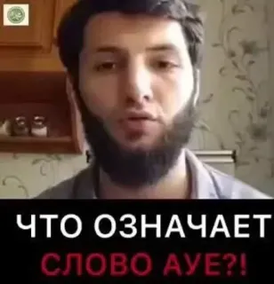 🕵️‍♂️ ЧТО ОЗНАЧАЕТ СЛОВО АУЕ?! telegram sticker