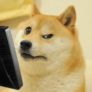 🤨 Doge doge, perro, meme, gracioso, internet, ordenador, confundido telegram sticker