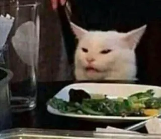 🍬 cat, meme, funny, animals, dinner whatsapp sticker