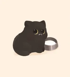 🐱 chat, chaton, mignon, animal, animal de compagnie, chat noir, lait, gamelle telegram sticker