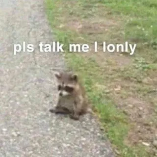 😔 pls talk me I lonly rakun, sedih, kesepian, binatang, imut, meme telegram sticker