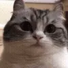 🙃