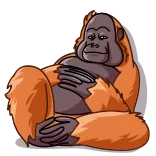 👋 orangutan, kera, binatang, primata whatsapp sticker