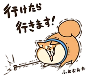 ❌ 行けたら行きます！ Hund, Tier, Shiba Inu, süß, Aufkleber, japanisch, Text, Wörter telegram sticker
