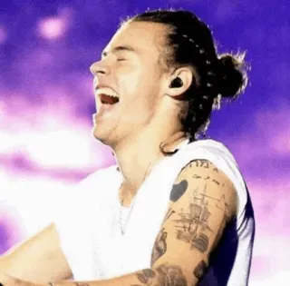 💞 Harry Styles นักร้อง, คนดัง, เพลง, ป็อปสตาร์, Harry Styles telegram sticker