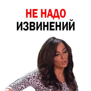 😣 НЕ НАДО ИЗВИНЕНИЙ telegram sticker