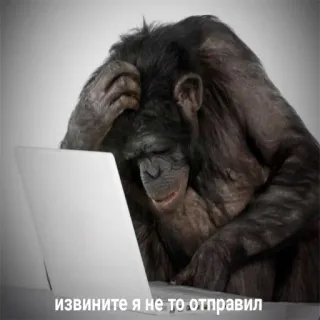 😔 извините я не то отправил Affe, Laptop, lustig, Entschuldigung, tippen, Computer telegram sticker