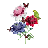 🌷 fiori, floreale, bouquet, pianta, natura, colorato whatsapp sticker