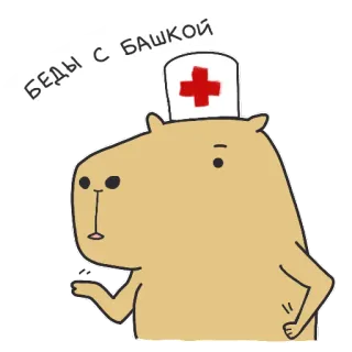 👩‍⚕️ БЕДЫ С БАШКОЙ Capivara, Desenho animado, Médico, Enfermeira, Engraçado, Animal telegram sticker