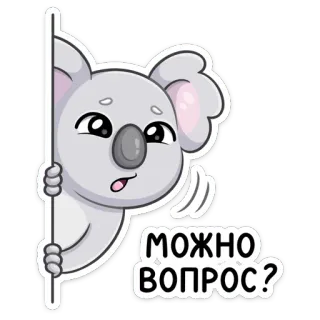 ❓ МОЖНО ВОПРОС? Koala, Frage, Süß, Cartoon, Tier, Fragend, Freundlich whatsapp sticker