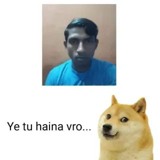 😂 Ye tu haina vro... telegram sticker