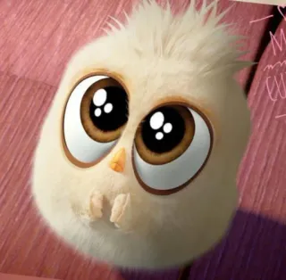 🥺 vogel, schattig, cartoon, baby vogel, dier whatsapp sticker