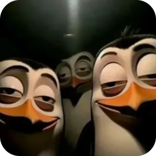 😑 Penguins of Madagascar Madagascar penguins, madagascar, funny, meme, smug, animted, dreamworks telegram sticker