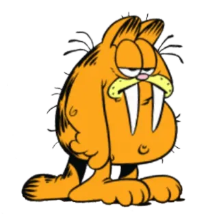 😺 Garfield cartoon, cat, walrus, hybrid, animal whatsapp sticker